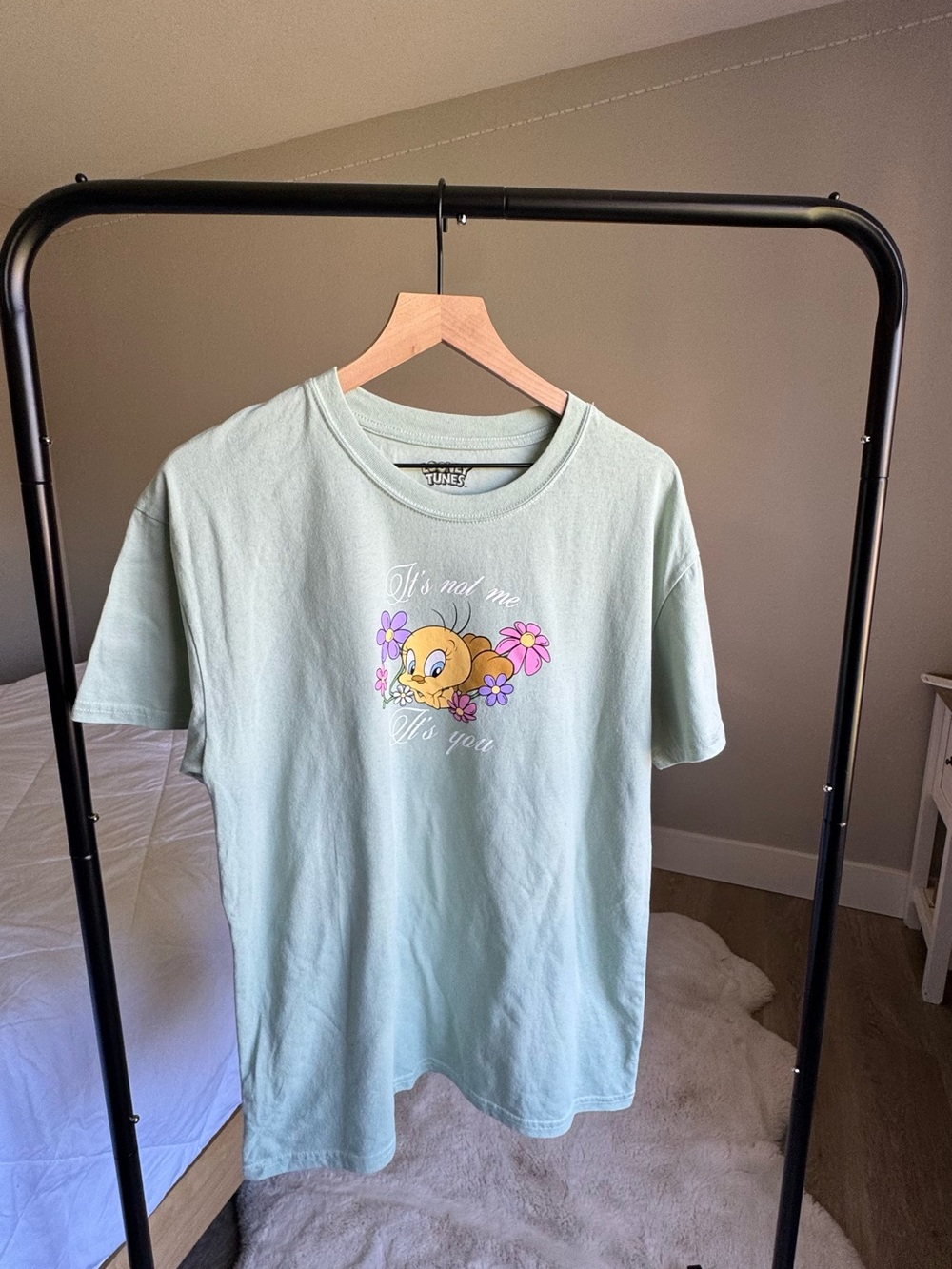 Warner Bros. Looney Tunes Tee in Mint Green with Pink Floral Accent